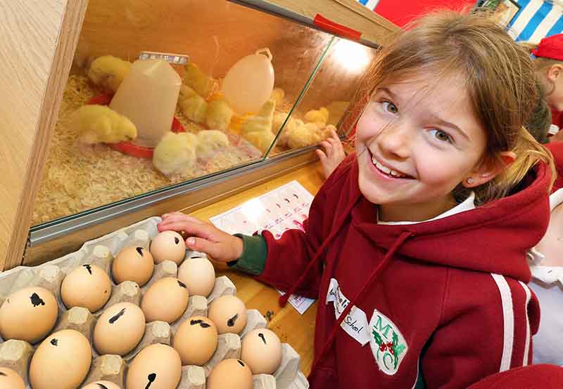 Food and Farming Day at Writtle College receives award