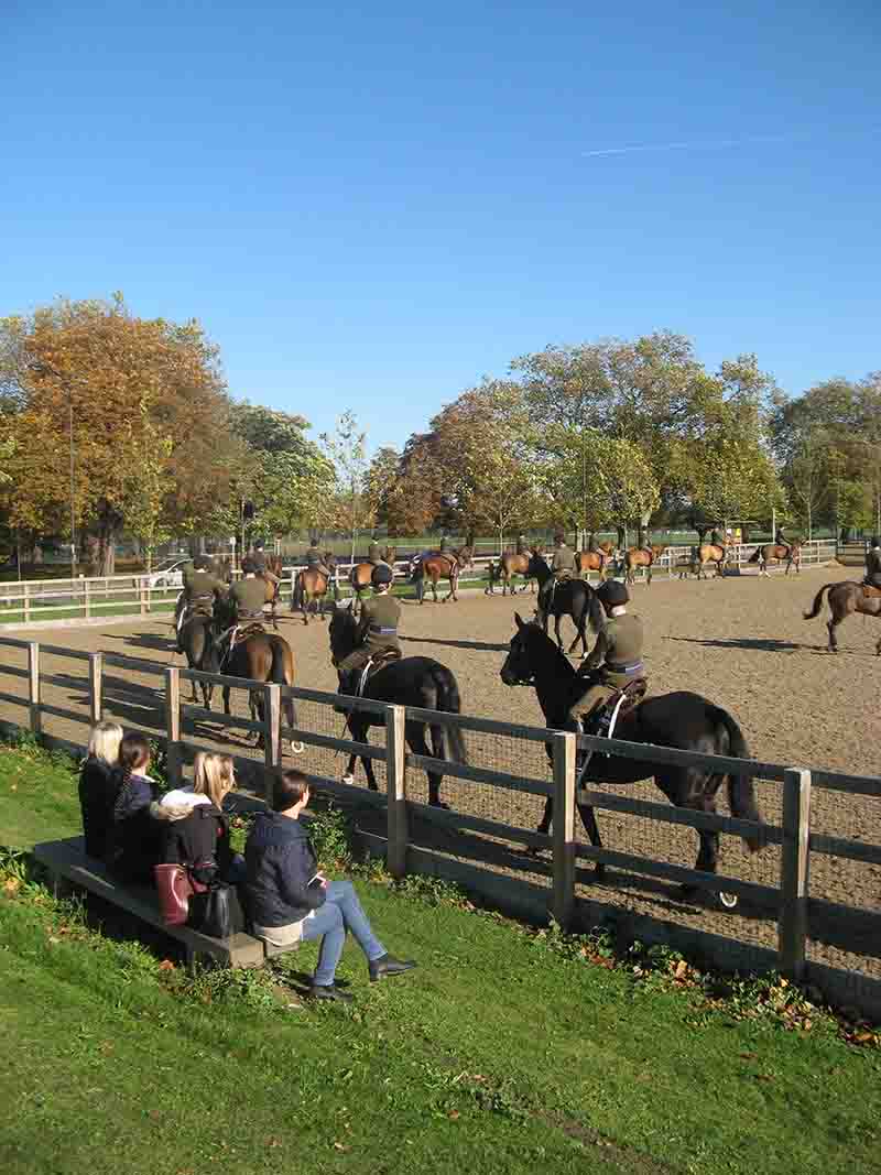 Equine students visit The King's Troop Royal Horse Artillery