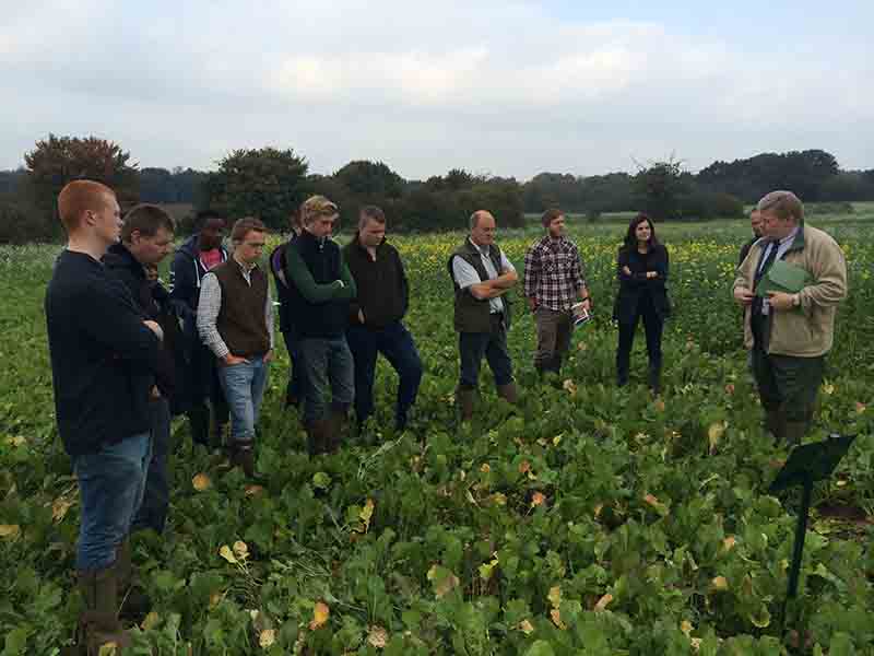 Agriculture students assess potential of cover crops