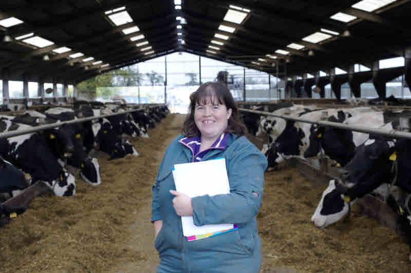 Lecturer visits US to learn more about large scale dairy farms