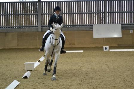 Writtle College hosts BUCS equine competition